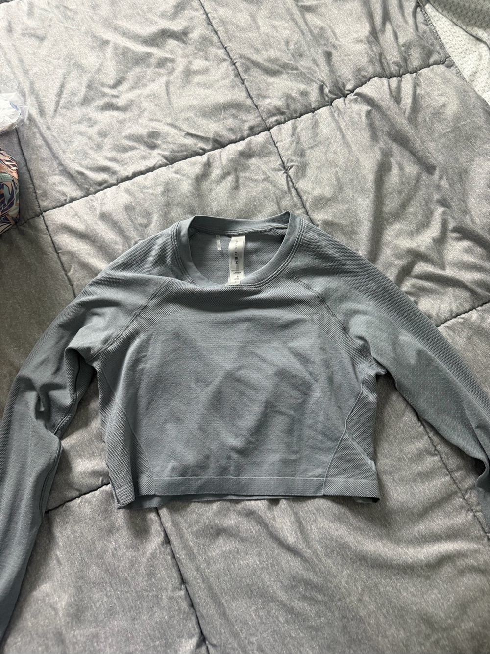Aritzia Light Blue Cropped Long-Sleeve Crew Top